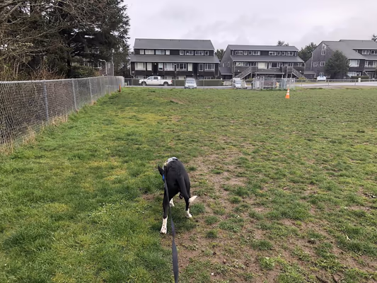 Agate Beach Neighborhood and Dog Park photo 1